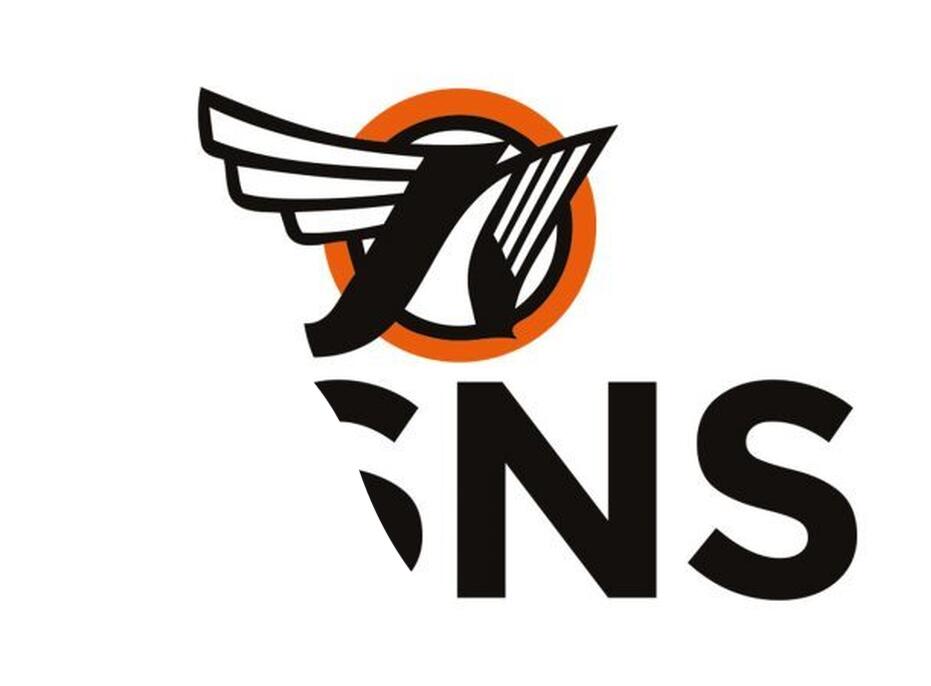 ESNS logo
